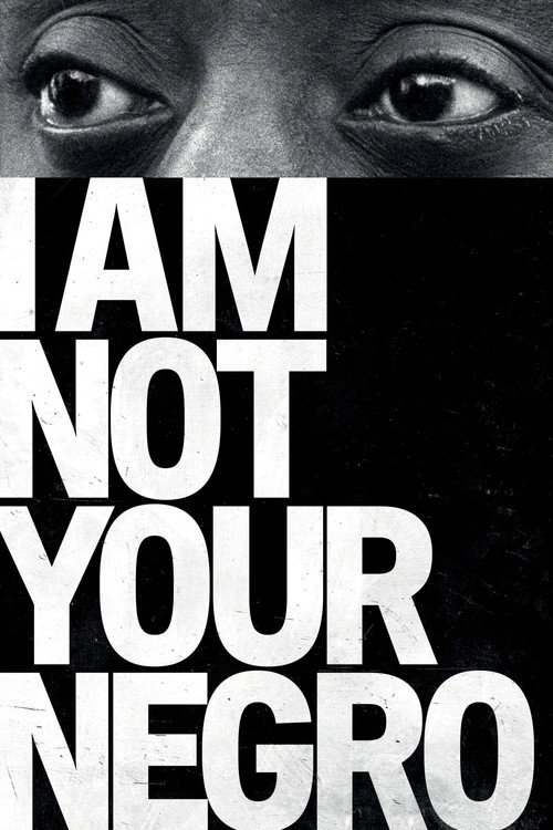I Am Not Your Negro poster