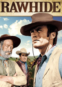 Rawhide poster