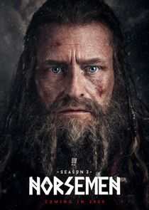 Vikingane poster