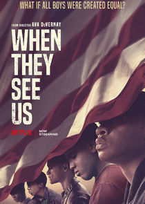 When They See Us poster