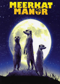 Meerkat Manor poster