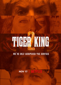 Tiger King: Murder, Mayhem and Madness poster