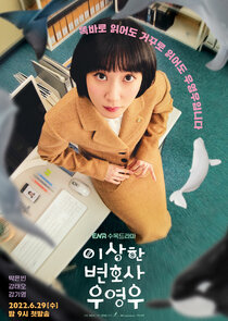 Extraordinary Attorney Woo poster
