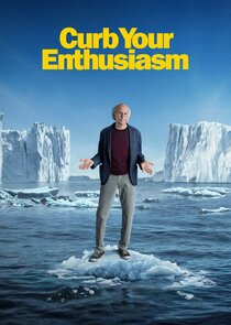 Curb Your Enthusiasm poster
