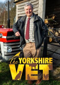 The Yorkshire Vet poster