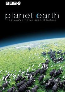 Planet Earth poster