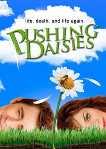Pushing Daisies poster