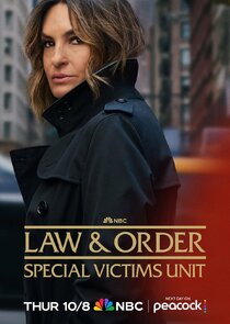 Law & Order: Special Victims Unit poster