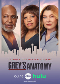 Grey's Anatomy poster
