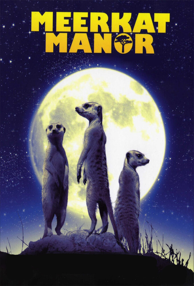 Meerkat Manor poster