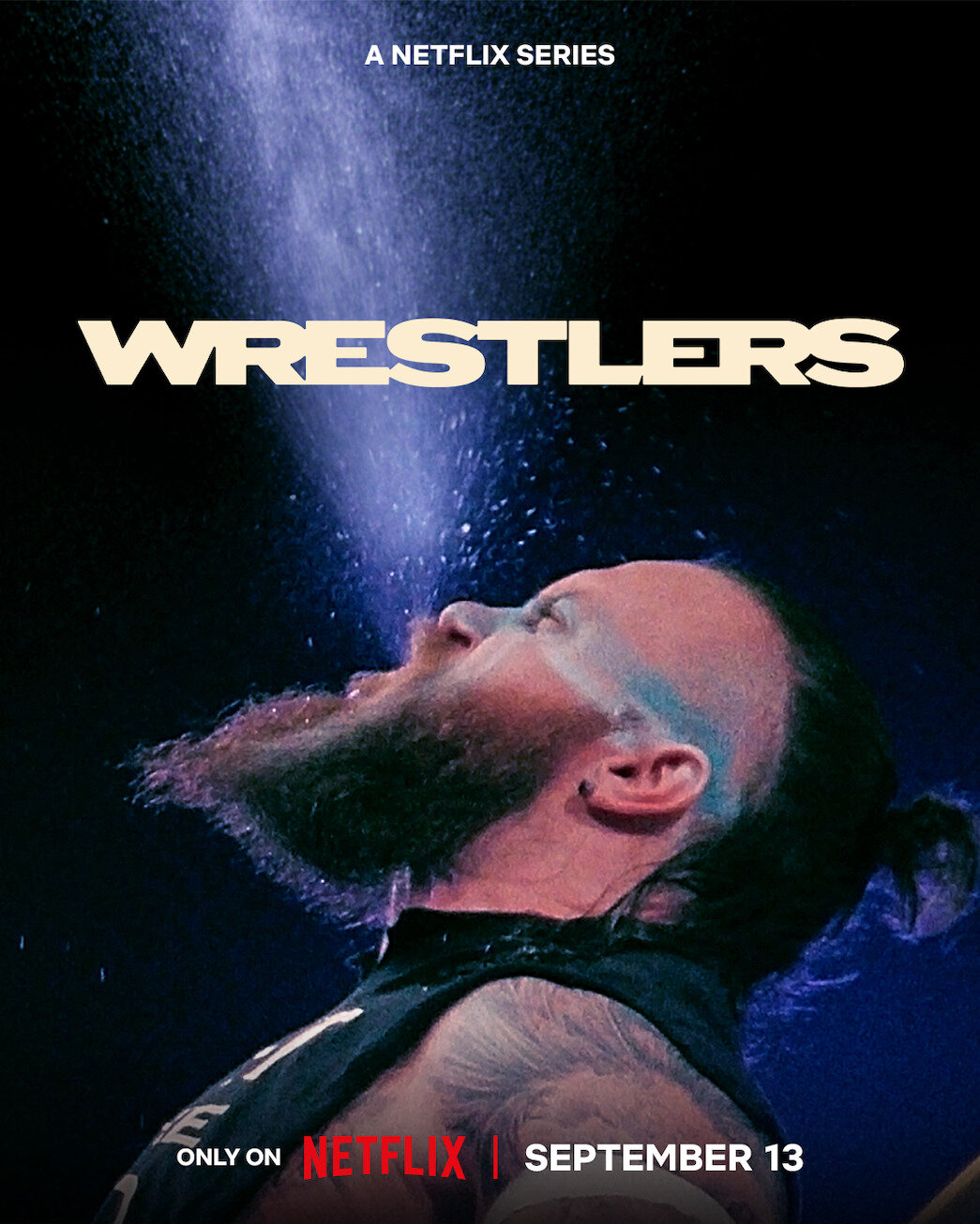 Wrestlers poster