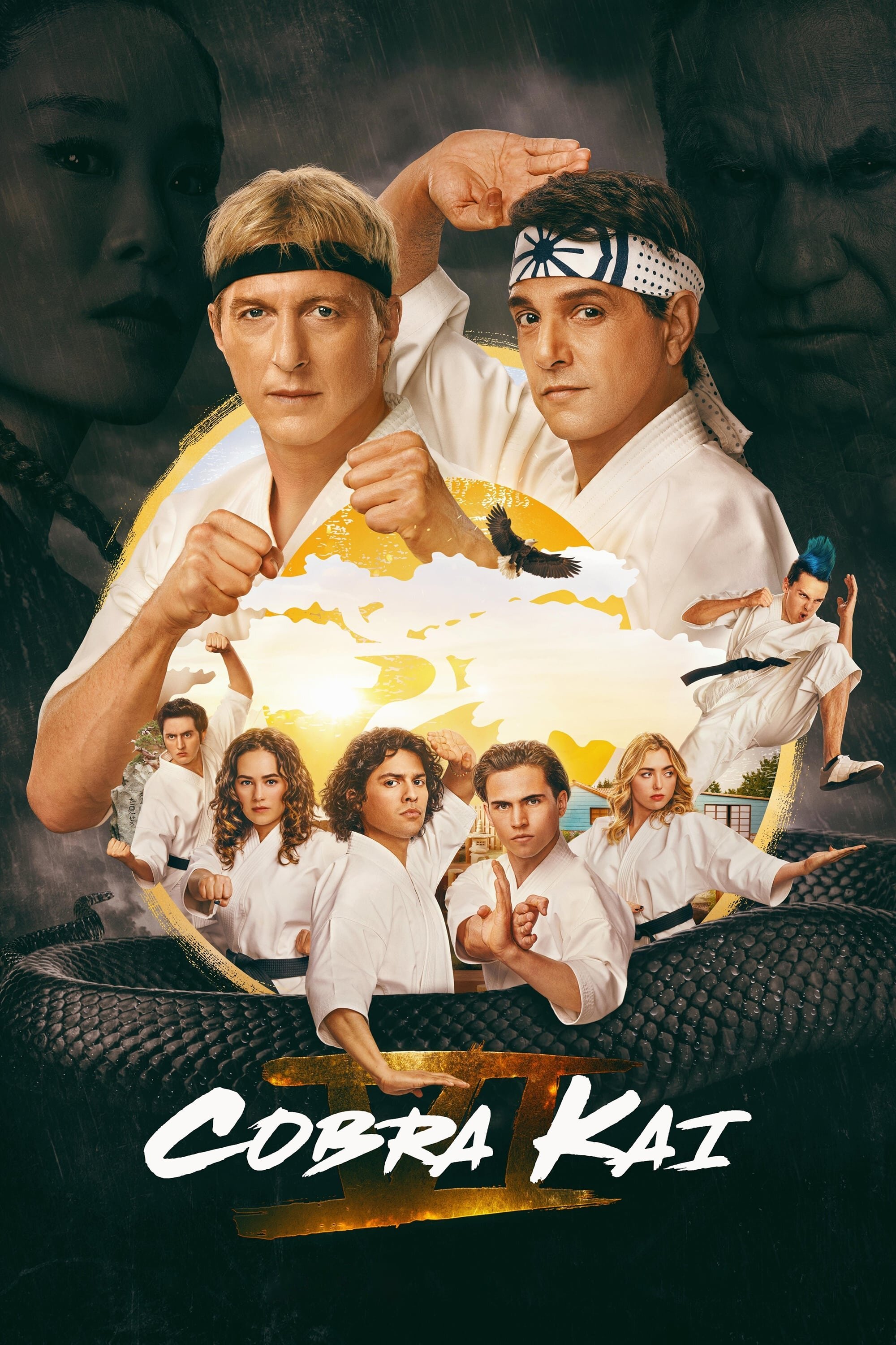 Cobra Kai poster