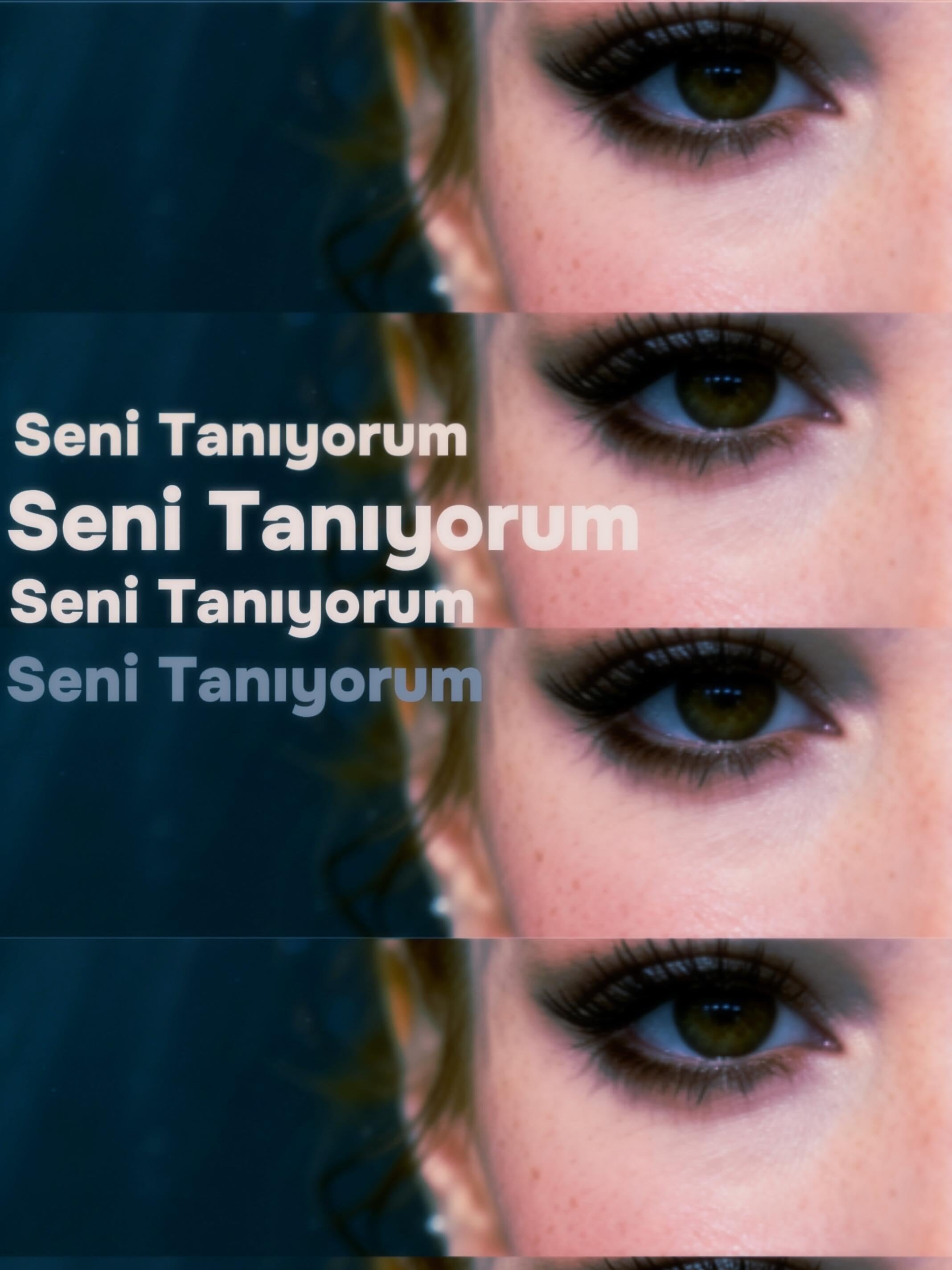 Seni Tanıyorum poster